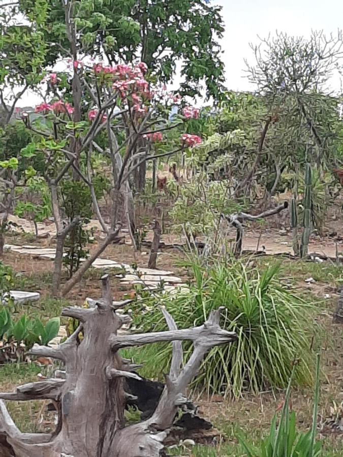 Estancia Morro Do Frota Pirenópolis エクステリア 写真