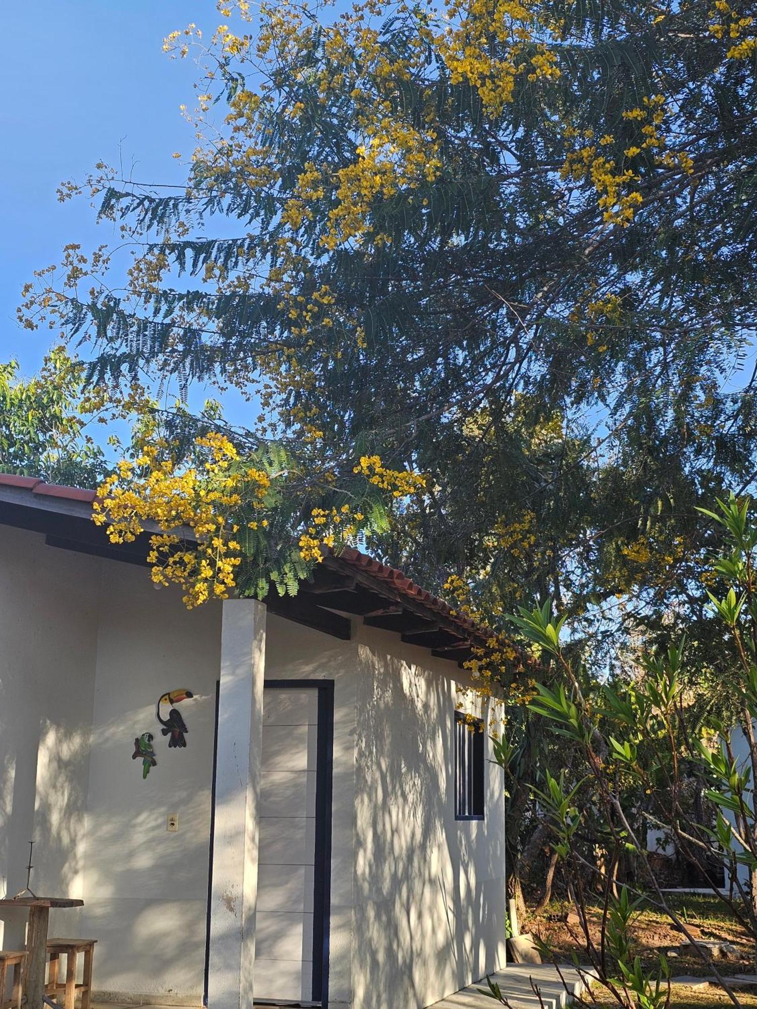 Estancia Morro Do Frota Pirenópolis エクステリア 写真